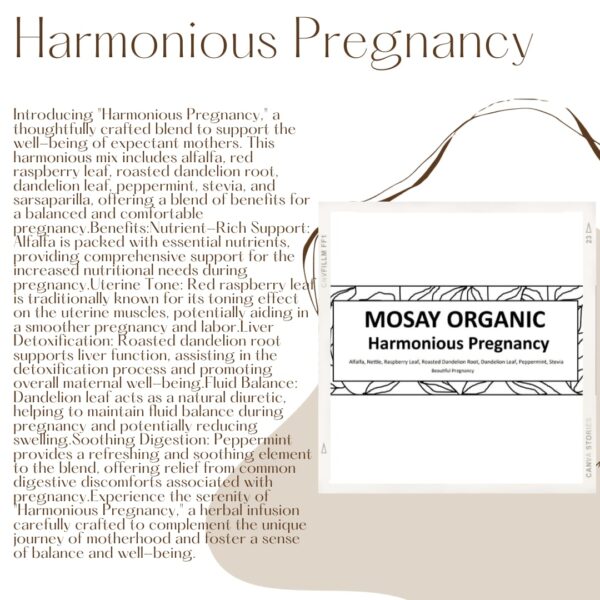 Harmonious Pregnancy - Image 2