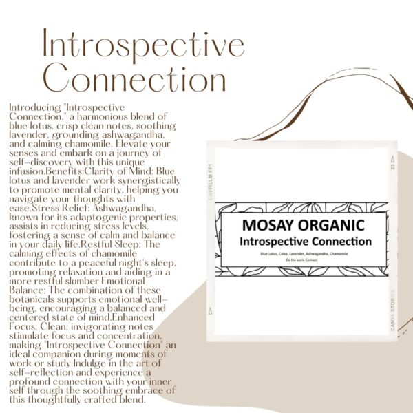 Introspective Connection - Image 2
